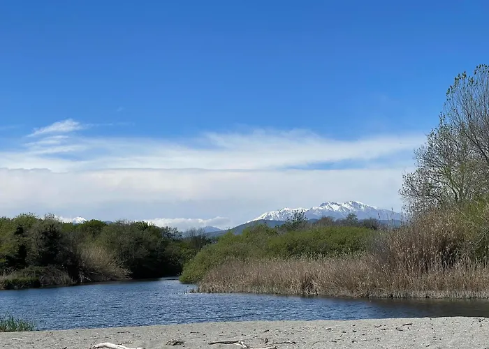 Appartement Marina Di Bravone 185 Vue *